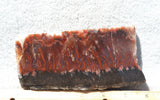 Mexican Flame Agate Rock Slab 33