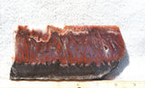 Mexican Flame Agate Rock Slab 32