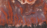 Mexican Flame Agate Rock Slab 32