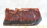 Mexican Flame Agate Rock Slab 32