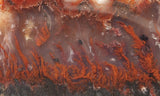 Mexican Flame Agate Rock Slab 31