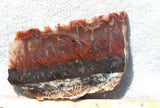 Mexican Flame Agate Rock Slab 31
