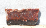 Mexican Flame Agate Rock Slab 30