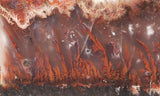 Mexican Flame Agate Rock Slab 30