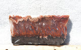 Mexican Flame Agate Rock Slab 30