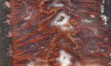 Mexican Flame Agate Rock Slab 29