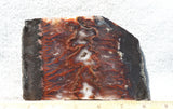 Mexican Flame Agate Rock Slab 29