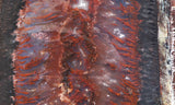 Mexican Flame Agate Rock Slab 26