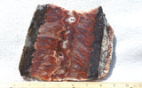 Mexican Flame Agate Rock Slab 27