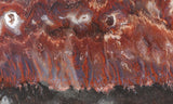 Mexican Flame Agate Rock Slab 27