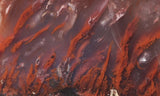 Mexican Flame Agate Rock Slab 41