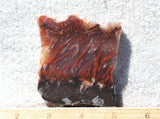 Mexican Flame Agate Rock Slab 41