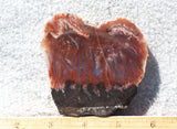Mexican Flame Agate Rock Slab 40