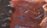 Mexican Flame Agate Rock Slab 40