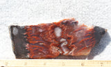 Mexican Flame Agate Rock Slab 38