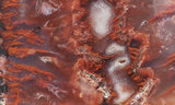 Mexican Flame Agate Rock Slab 38