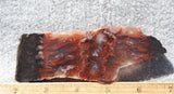 Mexican Flame Agate Rock Slab 39