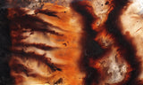 Mexican Flame Agate Rock Slab 39