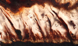 Mexican Flame Agate Rock Slab 30