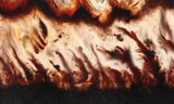 Mexican Flame Agate Rock Slab 31