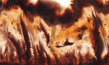 Mexican Flame Agate Rock Slab 32