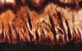 Mexican Flame Agate Rock Slab 33