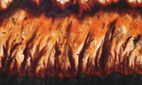 Mexican Flame Agate Rock Slab 35