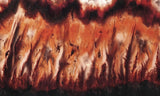 Mexican Flame Agate Rock Slab 37