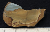 Oregon Picture Jasper Rock Slab 495