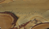 Oregon Picture Jasper Rock Slab 495