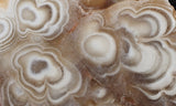 Cave Onyx Rock Slab 55