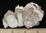 Cave Onyx Rock Slab 57