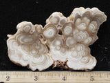 Cave Onyx Rock Slab 44