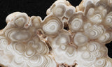 Cave Onyx Rock Slab 44