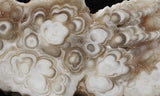 Cave Onyx Rock Slab 51