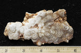 Cave Onyx Rock Slab 52