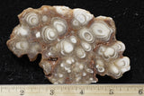 Cave Onyx Rock Slab 61