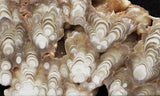Cave Onyx Rock Slab 46