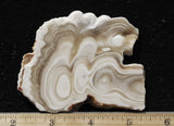 Cave Onyx Rock Slab 68