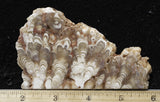 Cave Onyx Rock Slab 45