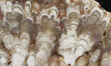 Cave Onyx Rock Slab 45