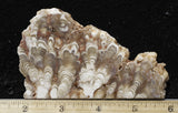 Cave Onyx Rock Slab 45