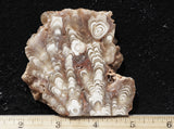 Cave Onyx Rock Slab 67