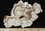 Cave Onyx Rock Slab 73