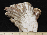 Cave Onyx Rock Slab 39