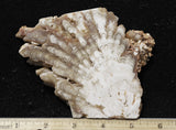 Cave Onyx Rock Slab 39