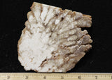 Cave Onyx Rock Slab 38