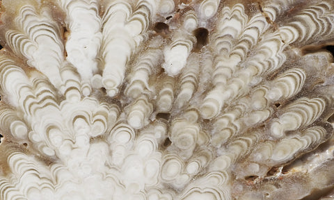 Cave Onyx Rock Slab 38
