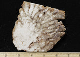 Cave Onyx Rock Slab 38