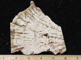 Cave Onyx Rock Slab 37